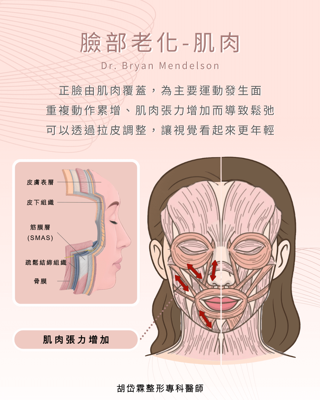 臉部老化,肌肉流失,胡岱霖醫師