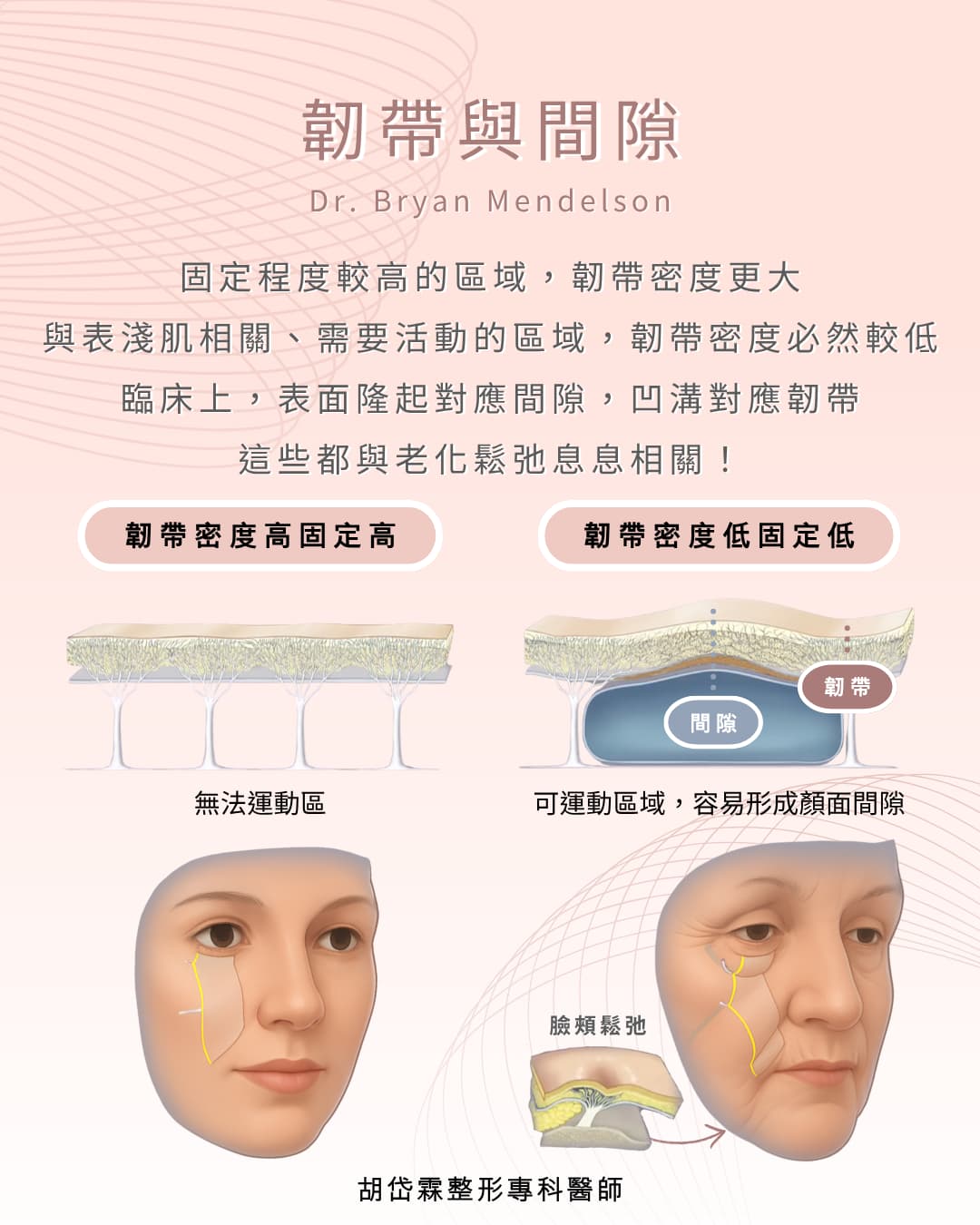 韌帶與間隙,拉皮,臉部,drhutailin